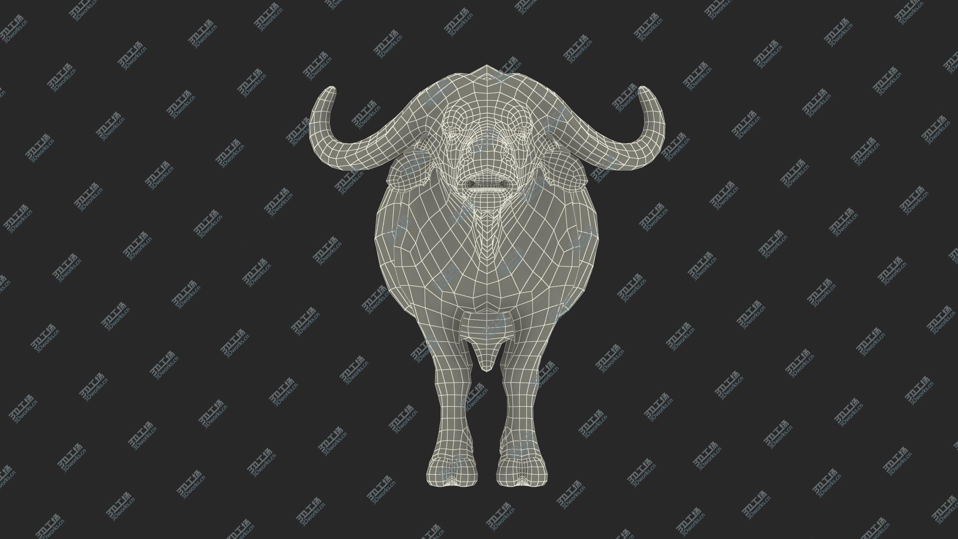 images/goods_img/202104093/Cape Buffalo African Buffalo with Fur Rigged 3D/4.jpg